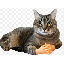 jordanmuna03's avatar