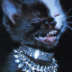 Badria Alajmi's avatar