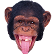 MYWRLD999's avatar