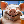 IndiVidum2's avatar