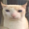 schkeet.monstera's avatar