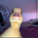 Master_Kiyz's avatar