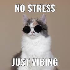 GamingCat9439's avatar