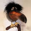 rdyarik13's avatar
