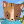LightningAahil's avatar