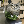 semagohehem's avatar