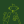 elephant.bromine's avatar