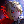 rodyalimbuscompany's avatar