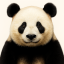 Farine's avatar