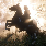 gl2377's avatar