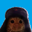 chaton communiste's avatar