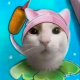helhohe's avatar