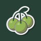 Green Cherry Studio's avatar