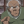 NeverLandx's avatar