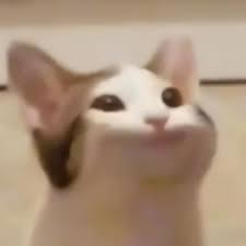 atgzdd's avatar