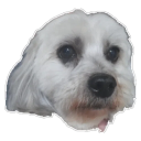 Dami G's avatar