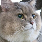 coolcat999's avatar