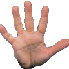 ninowebs's avatar