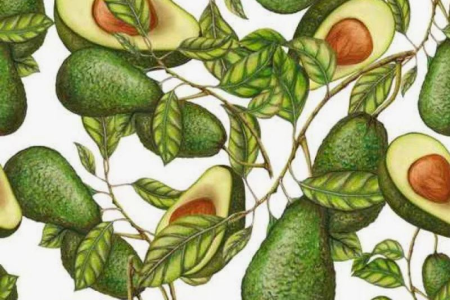 Авокадики и мемы - Free Addicting Game