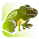 Game - Frog Jumping asset store icon