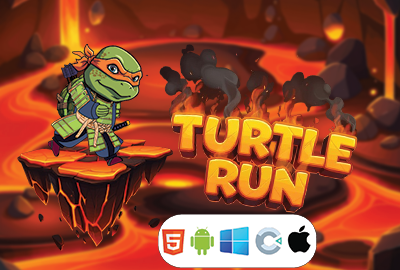 Turtle Run main cover image