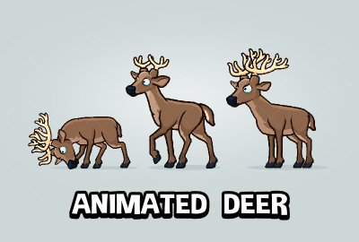 Deer main cover image