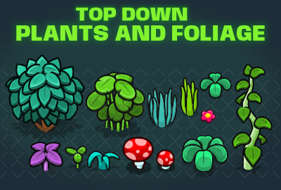 Top down plants and foliage main cover image