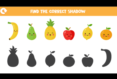 Find the Correct Shadow Game Template main cover image
