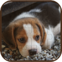 Game - Cute Dogs Puzzle asset store icon