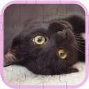Game - Cute Cats Puzzle asset store icon