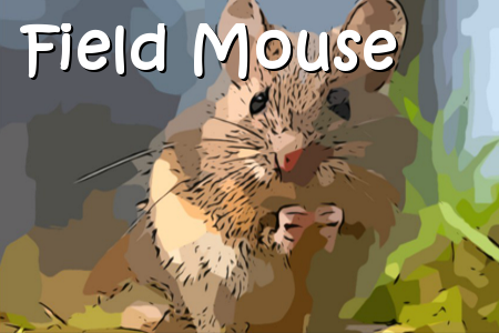 Catch the Mouse - Free Addicting Game